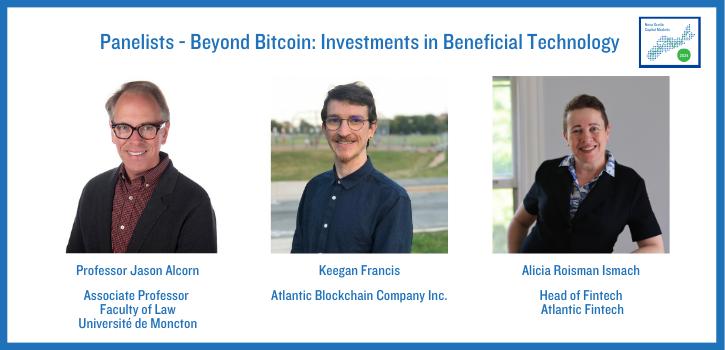 Panel 4: Bitcoin